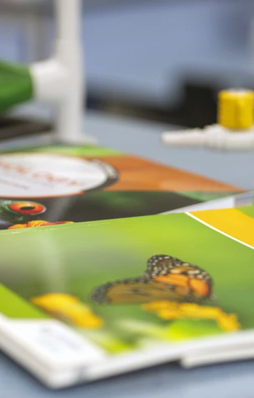 A close-up shot of two colourful biology textbooks on a lab bench, one featuring a butterfly and the other a frog, with science taps in the background—ready for a lesson in nature A close-up shot of two colourful biology textbooks on a lab bench, one featuring a butterfly and the other a frog, with science taps in the background—ready for a lesson in nature
